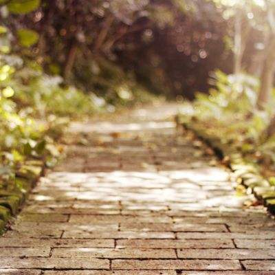 pg电子·模拟器(试玩游戏)app下载